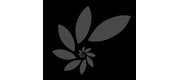 360pay logo