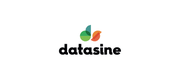 Datasine logo