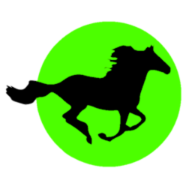 SToFU logo