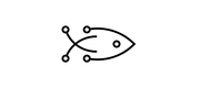 Fish AI Ltd logo