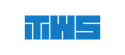 Team Work Spirit logo