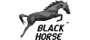 BLACK HORSE™ logo
