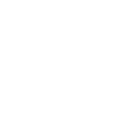 Lizenza Development logo