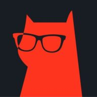 RedCat logo
