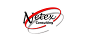 Netex Consulting logo