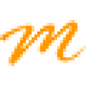 Maximum-Net logo