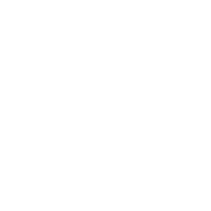Fly to the Future logo