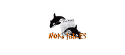 NOKs fishes logo