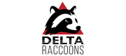 DeltaRaccoons Team OÜ logo