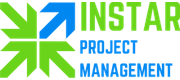 In-Star logo