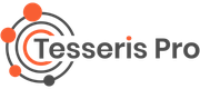 Kvinivel Inc (ex Tesseris Pro) logo