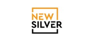 New Silver logo