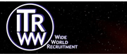 IT Worldwide Recruitment Agency logo