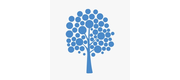 Davydov Consulting logo