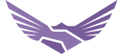 ​Finsight Group Inc.