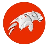 Romdi logo