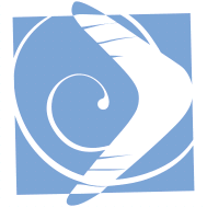 Parketti logo