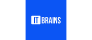 IT BRAINS logo