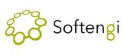 Softengi logo
