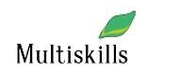Multiskills LLС logo