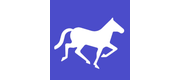 Nomadic Soft logo