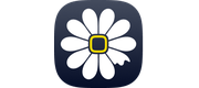 Daizy logo