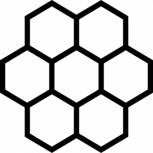 CGI School logo