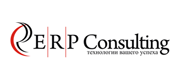 ERP Consulting logo