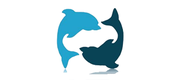 Dolphinsoft logo