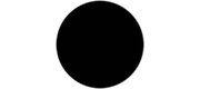 Incognito logo