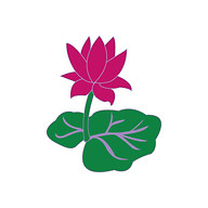 Indonesian Women with Disabilities Association logo