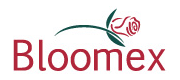 Bloomex logo