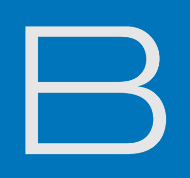 Bignet logo