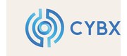 Cyberionix logo