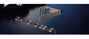 Diamond Services Group logo