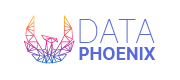 Data Phoenix logo