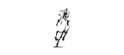 Dark Horse Solutions LLC logo